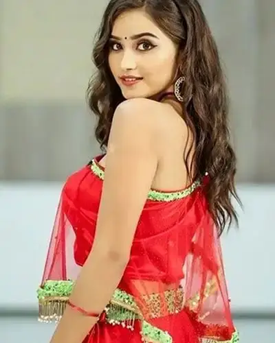 Call Girl Service in Barnala